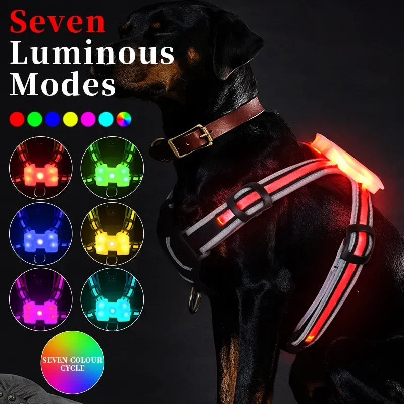 Adjustable LED Dog Harness