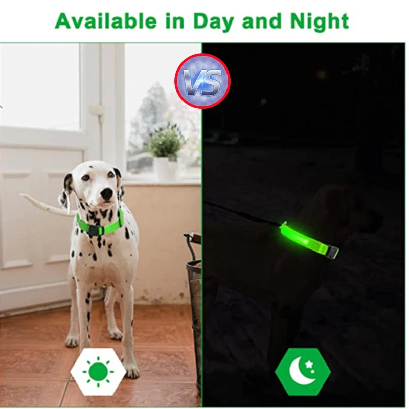 LED Glowing Dog Collar