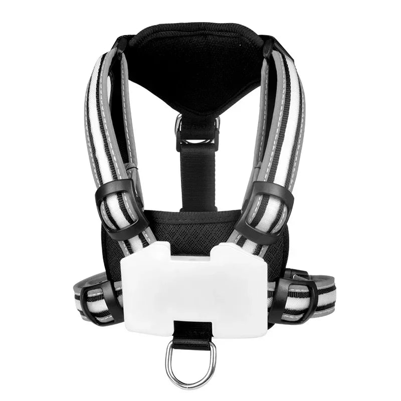 Adjustable LED Dog Harness