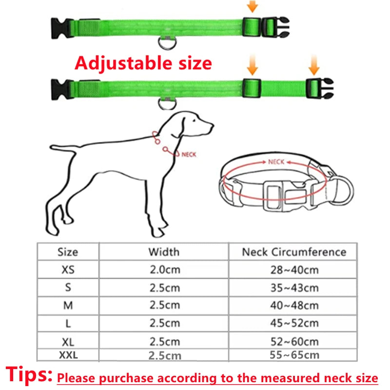 LED Glowing Dog Collar