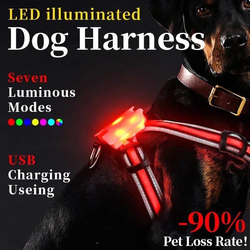 Adjustable LED Dog Harness